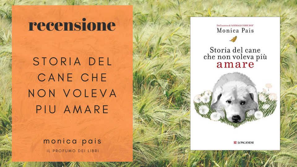 Recensione – Storia del cane che non voleva più amare – Monica Pais ...