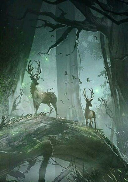 f1eac0a19d5f1caf1806393c30485767