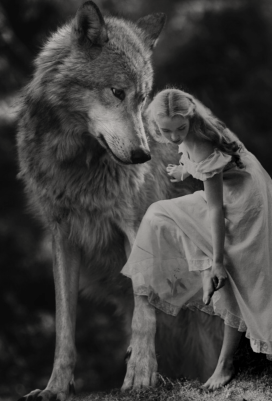 591c24748dfab2b6052061c3eb639452