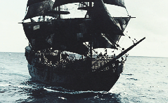 tumblr_mzrsl2f4z91qj7roko3_250